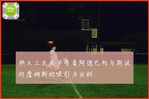 热火三巨头字母哥阿德巴约与斯波对詹姆斯的吸引力分析