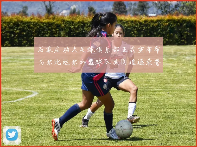 石家庄功夫足球俱乐部正式宣布希戈尔比达尔加盟球队共同追逐荣誉