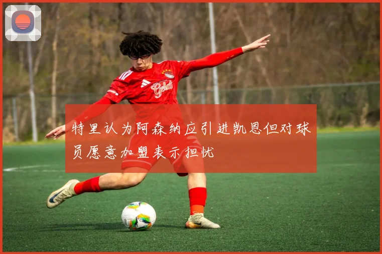 特里认为阿森纳应引进凯恩但对球员愿意加盟表示担忧